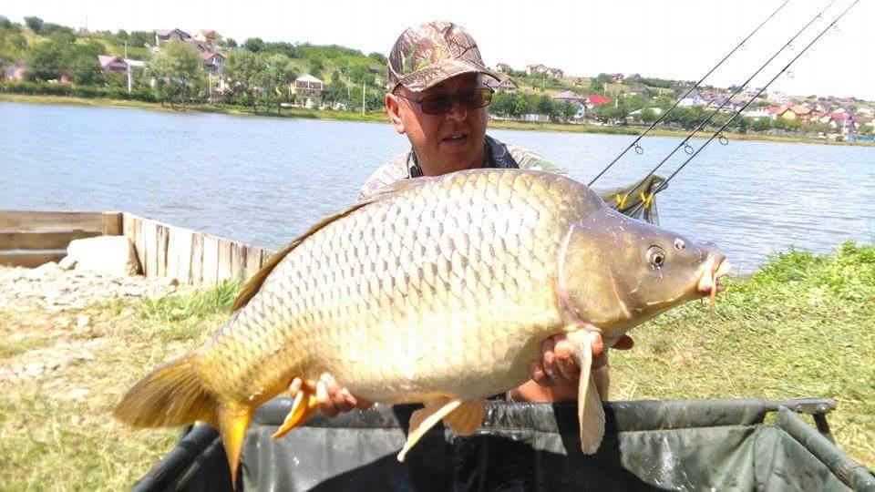 Bogdan Vintea - received839240102796993.jpeg